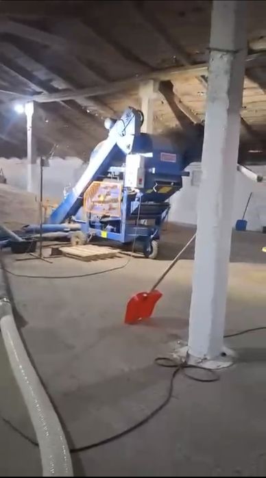 Лён, семена льна. Лен.