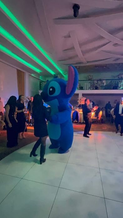 Ursi//Laser//Alcool Test//Audio guestbook//Zapada//