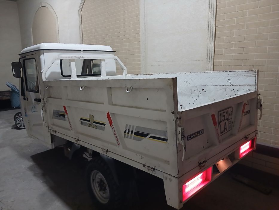 Муравей/матарол/ matarol.CAVALO