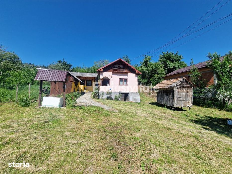 Căsuță autentică românească între două dealuri–colț de liniște  în Bot
