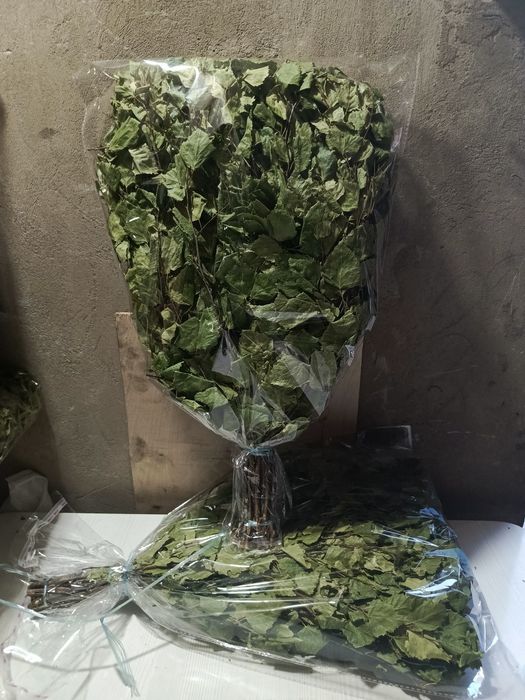 Продам берёзовые веники