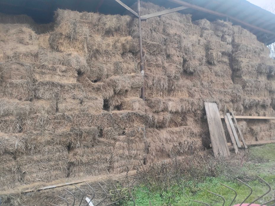 Vând baloți de fan