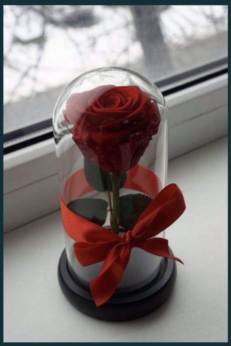 Trandafir criogenat conservat rosu 17 20 25 cm
