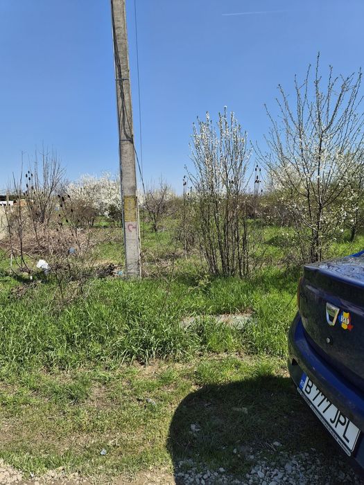 VANZARE teren Mogosoaia