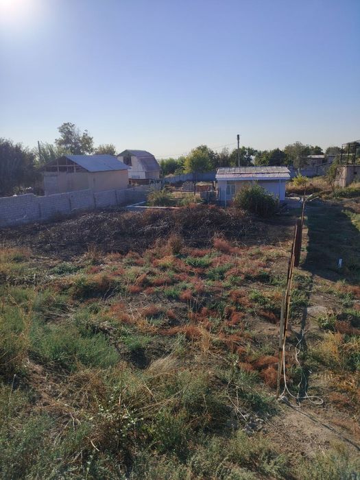 Юкоричирчик т. Уртасарой Нурлизамин