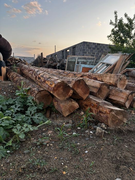 Продам бревна 4.30-4.50 м.