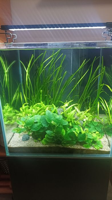 Аквариум 125 литров