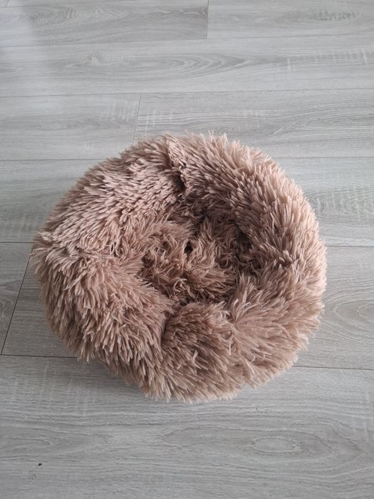 Pat pisica de talie mica