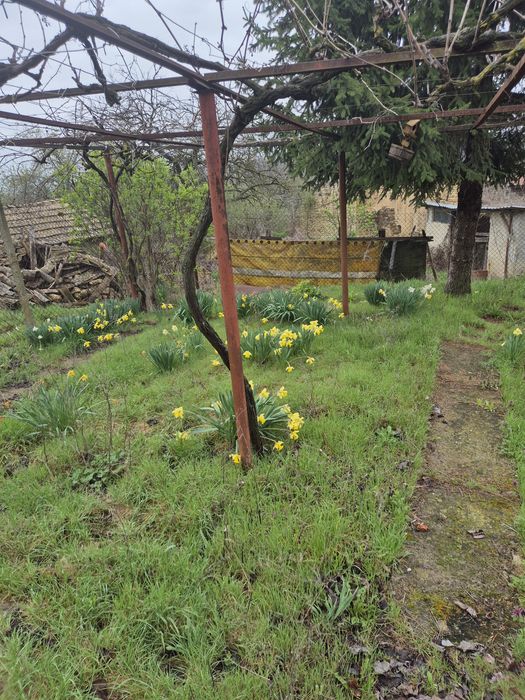 Продава се Къща в с. Беджене, Област Шумен - 160 кв.м за 77 €/кв.м - Снимка #4