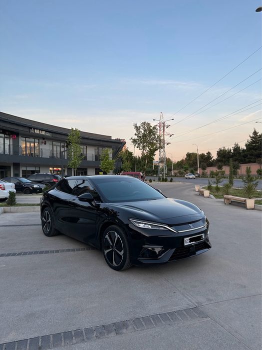 Byd song L 2024 yil