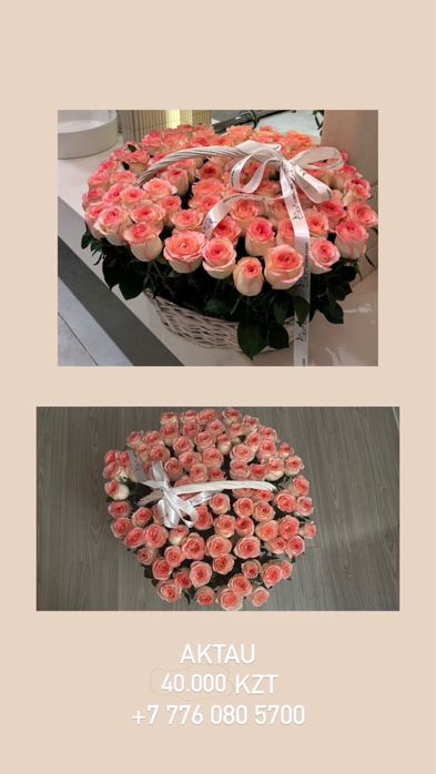 101 роза свежие