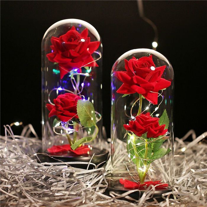 Роза в Кольбе 2800