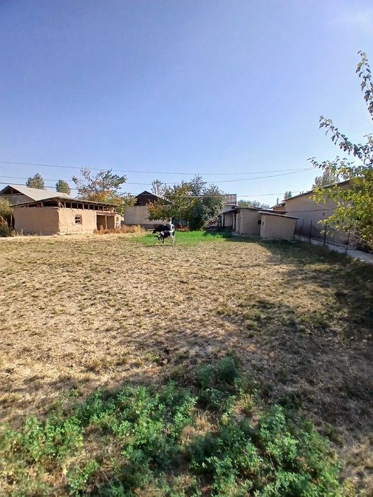 Ер ва Уй сотилади енги Тошкентни ёнида