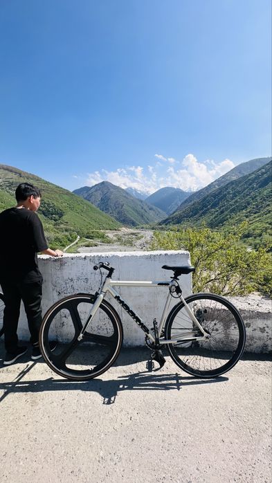 Fixed gear modric ms100