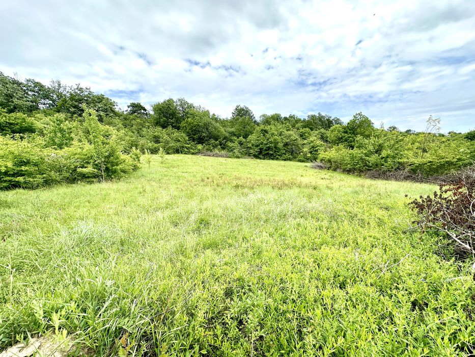 Продава се Парцел в с. Зая, Област Габрово - 1474 кв.м за 11 €/кв.м - Снимка #2