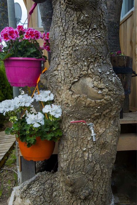 Продажба Каравана в къмпинг Арапя