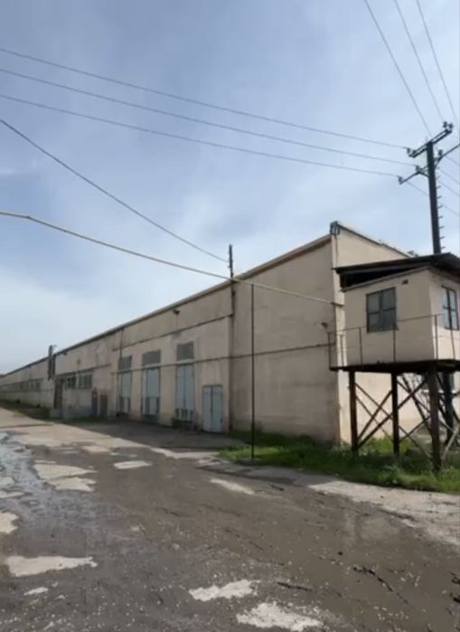 Продаётся Производственный Здание: