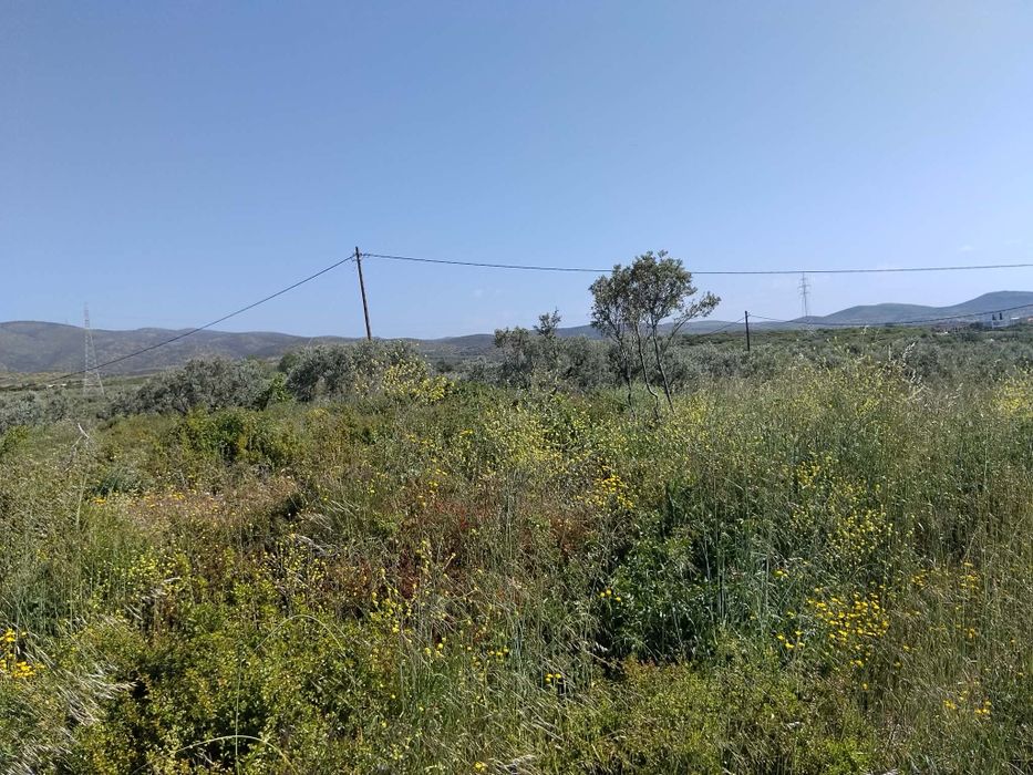 Продава се парцел в район Макри, Александруполис