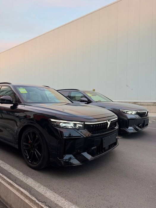 Установка оргинал программы для VOYAH FRY