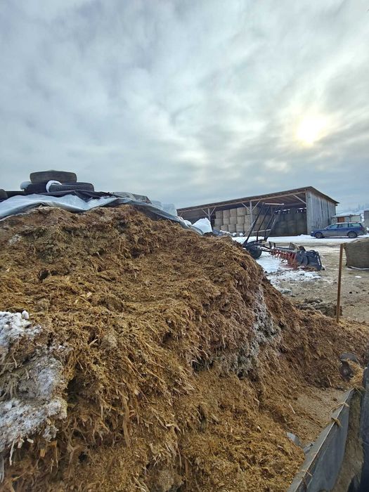 Siloz de porumb 2025