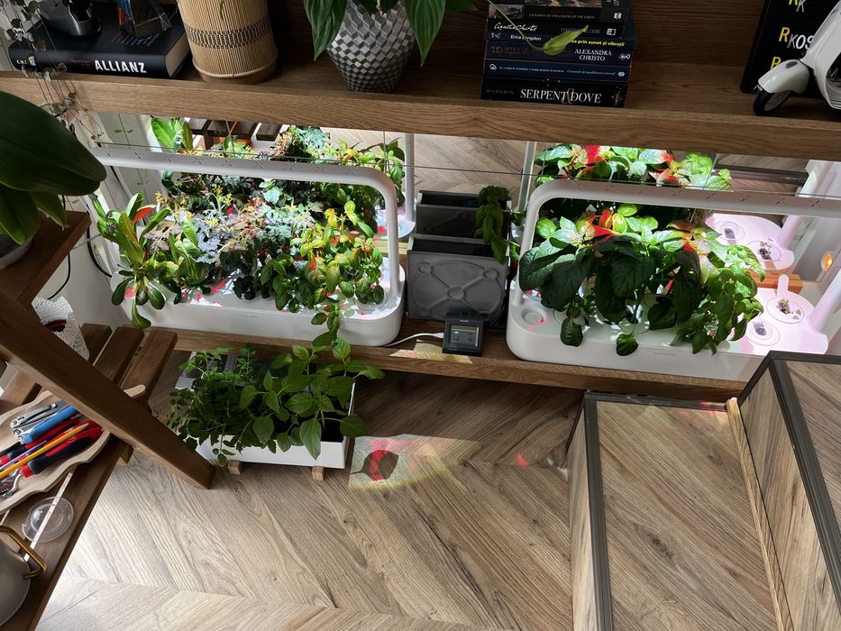 Seră Click and Grow