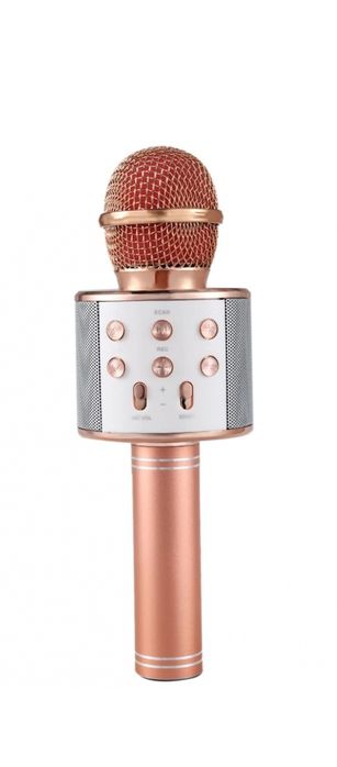 Microfon karaoke pentru copii