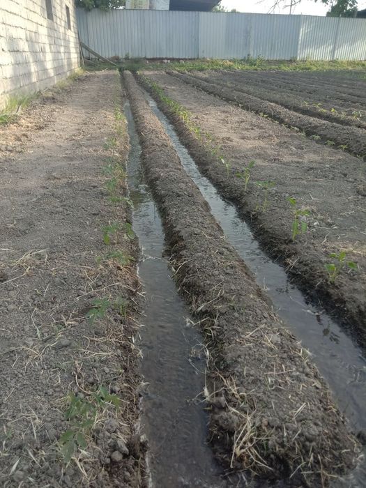 Yer sotiladi,32000$ kelishamiz