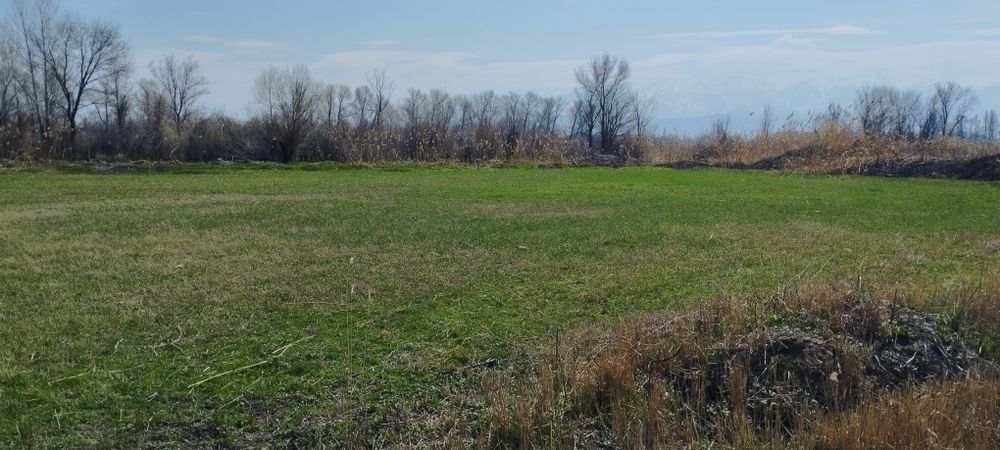 Продается земля.