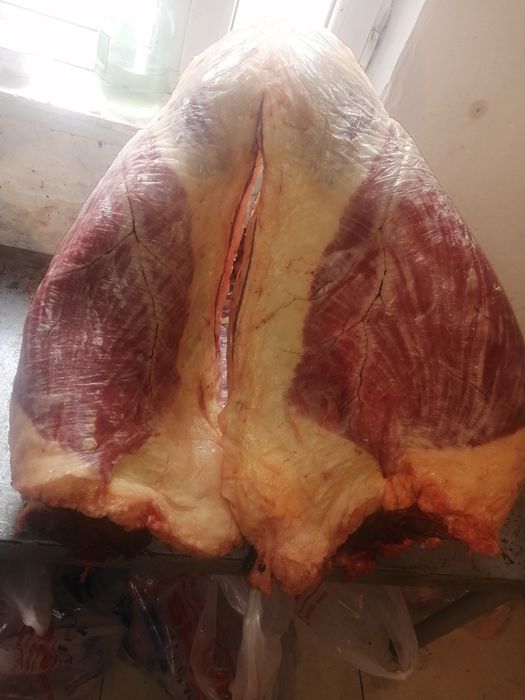 Конина на согым..