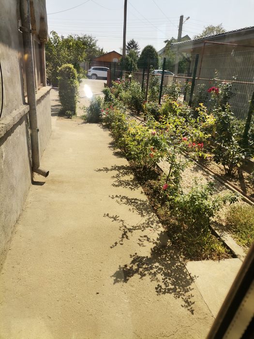 Casă de vânzare Joița