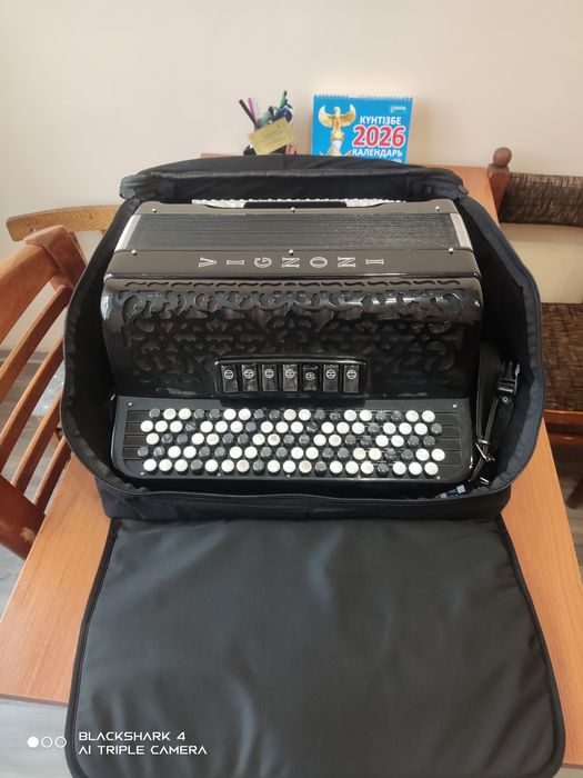 Рубин 5 Баян Выборный