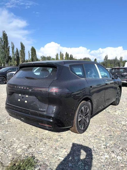 Dongfeng‑Nissan NX8 310  Max