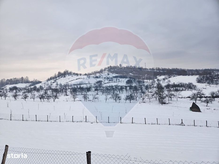 Teren 4,301mp Barsana / Strada Principala