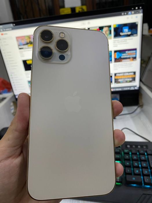 iPhone 12 pro max
