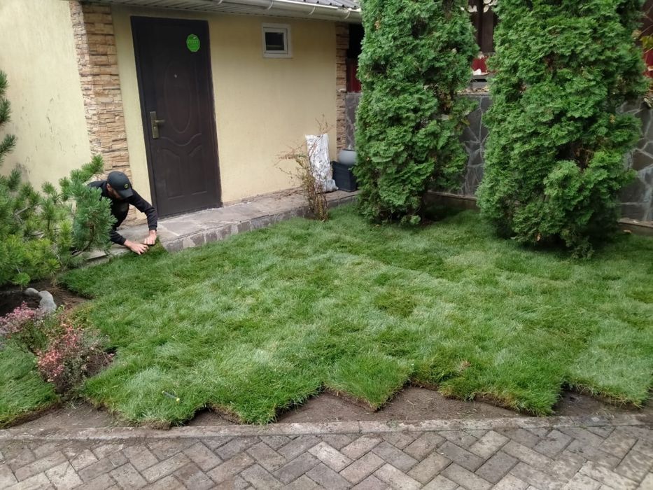 Рулонные газонн