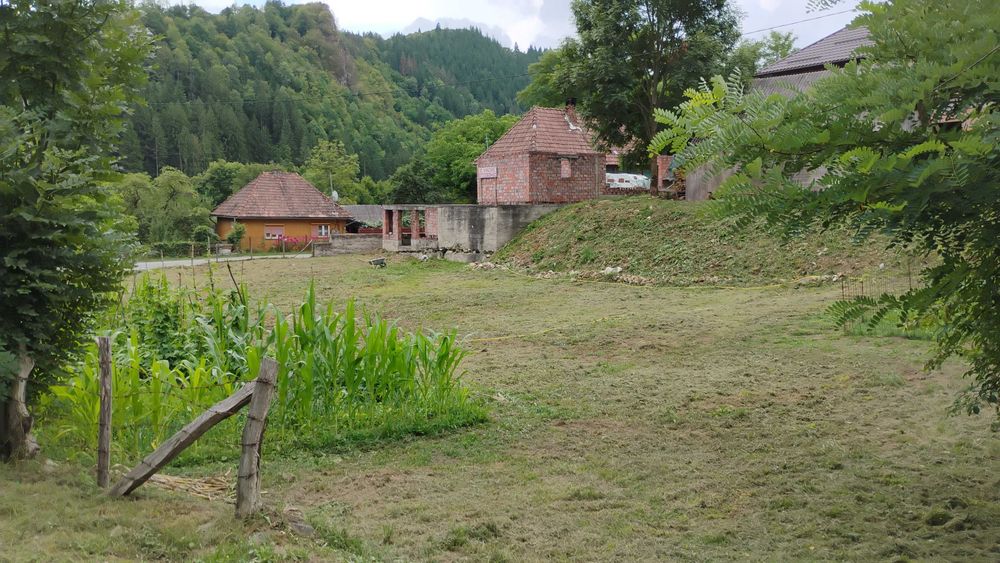 Casa de caramida la rosu, 3765mp teren intravilan, Valea Ariesului, AB