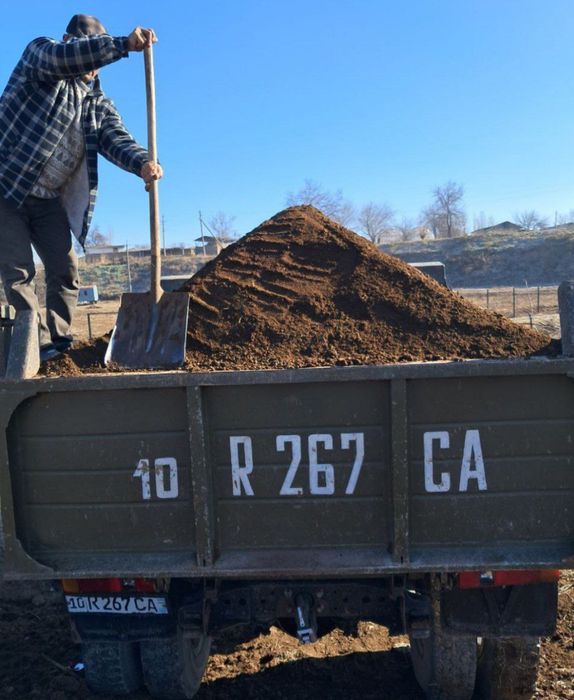 Gong bor toza musursiz