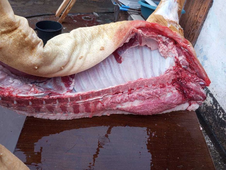 Свинина домашняя продам!