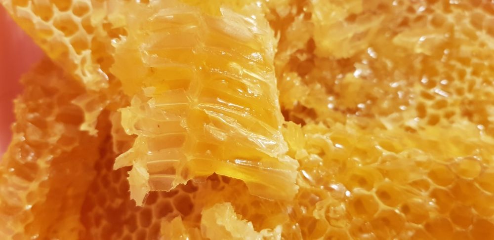 Натурален мед 2025