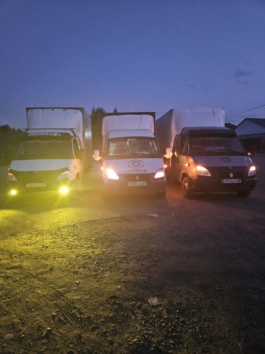 Вывоз Мусора. Вывоз веток. Мусор. Грузчики