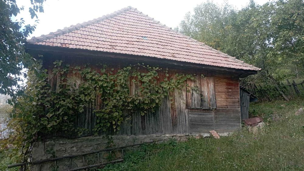 Casa batraneasca cu teren livada intravilan/extravilan 9032mp