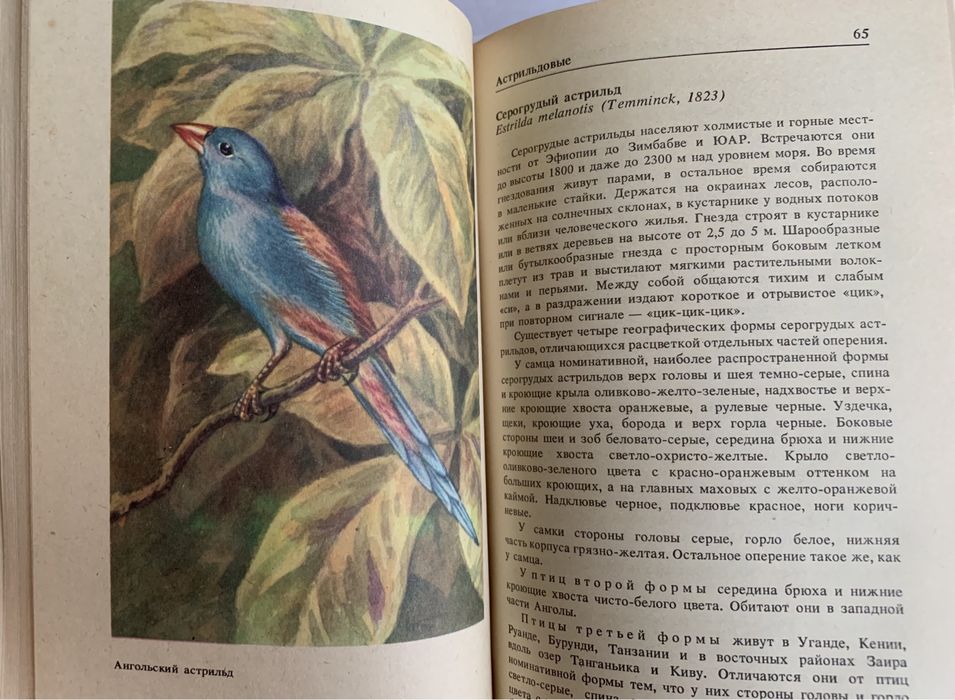 Справочник для любителей птиц