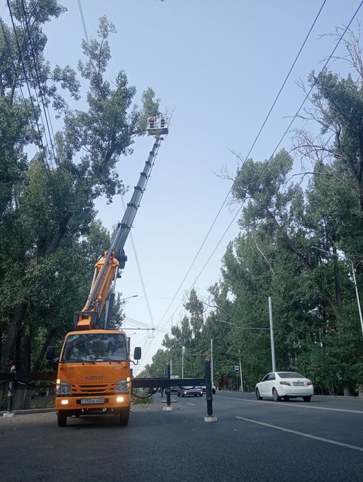 Спилим деревя от 5000тг