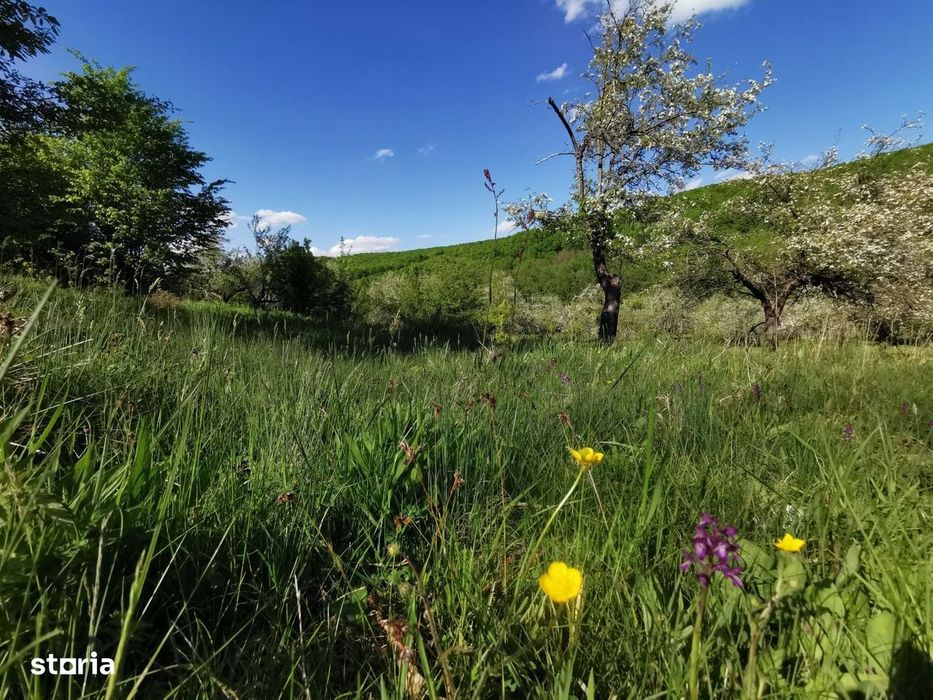 Teren de Vânzare, Budeasa Mica – Potrivit pentru Casă de Vacanță sau I