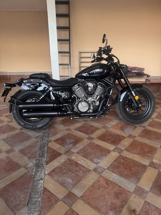 Benda chinchilla 500kb 5500doler