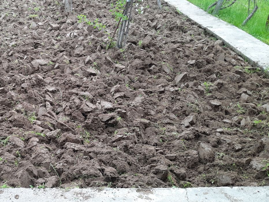Земельный участок