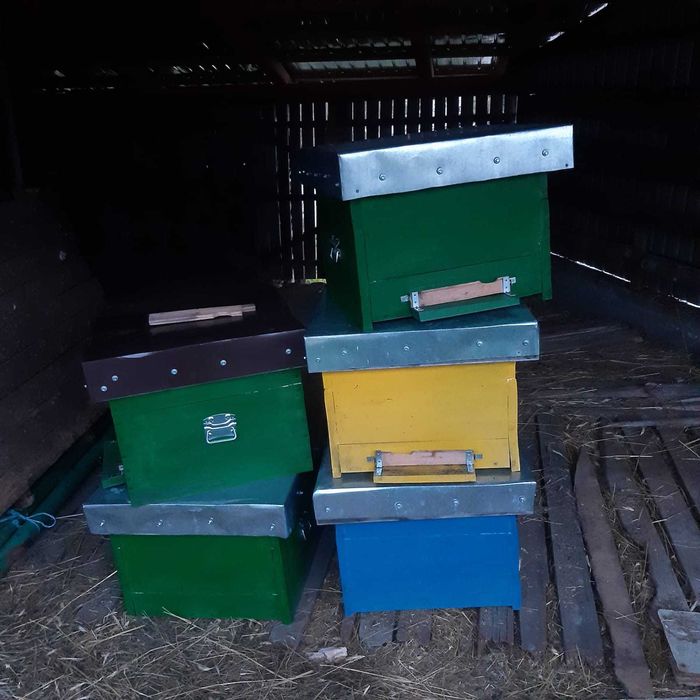 Stupi de 12 rame preț 220 lei !