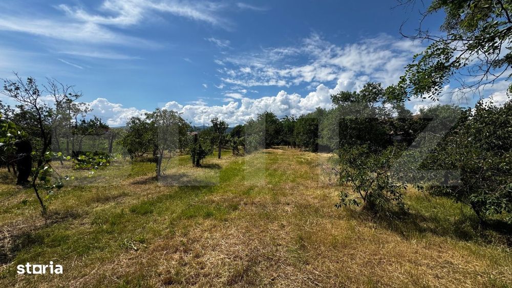 Teren intravilan cu acces la asfalt 1.600 mp in Vintu de Jos