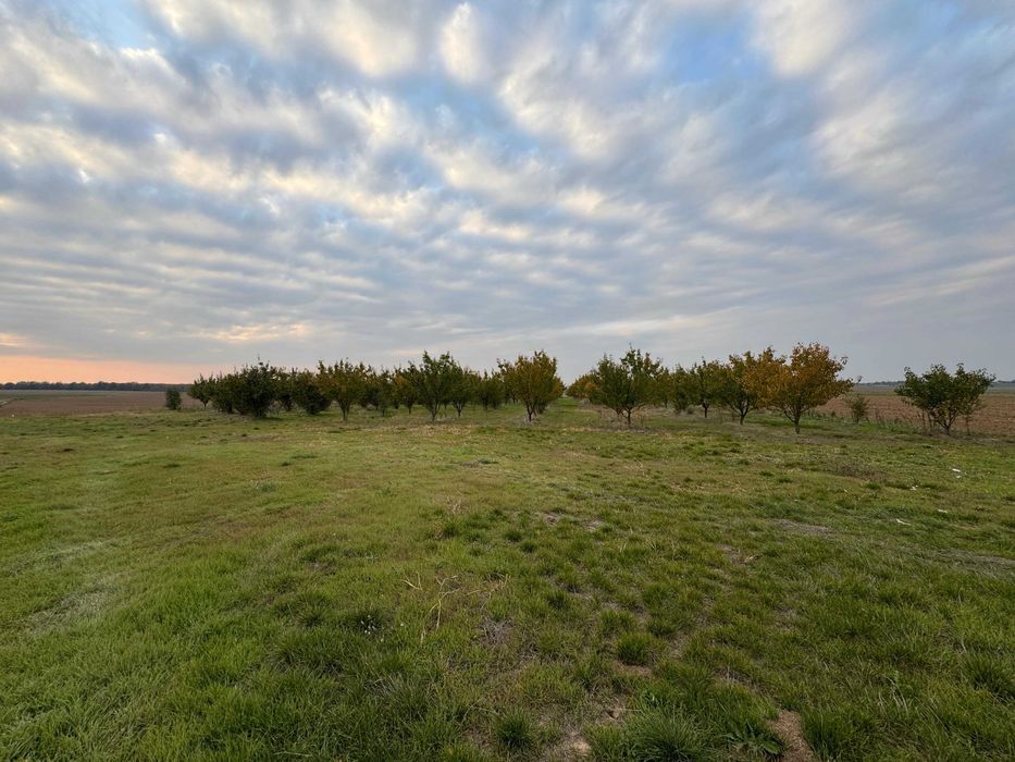 Продава се Земеделски имот в с. Чернолик, Област Силистра -  кв.м за 281 €/дка - Снимка #4