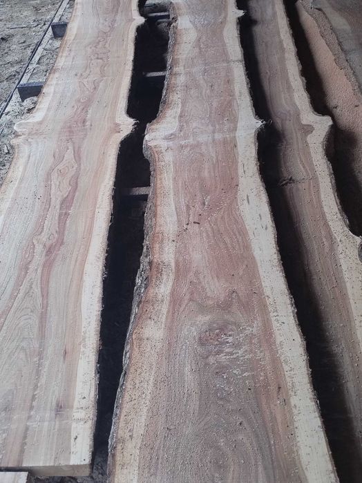 Cherestea de stejar si ulm grinzi corrni. etc